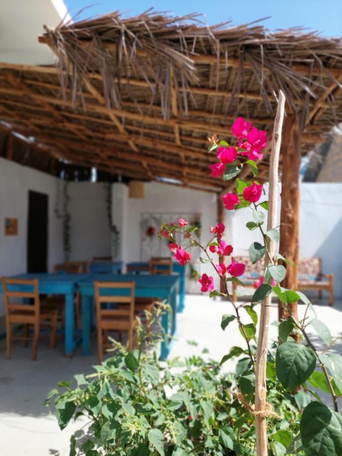 Karibu House Bed and Breakfast Paje Exterior foto